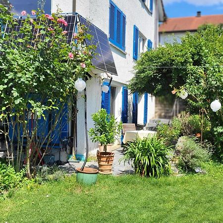 Ferienwohnung Am Bruchwald 比蒂希海姆-比辛根 外观 照片